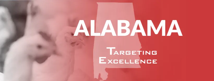 Alabama Targeting Excellence Chicken Banner